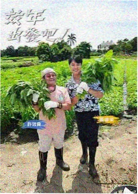 观察访谈综艺快乐研究所海报